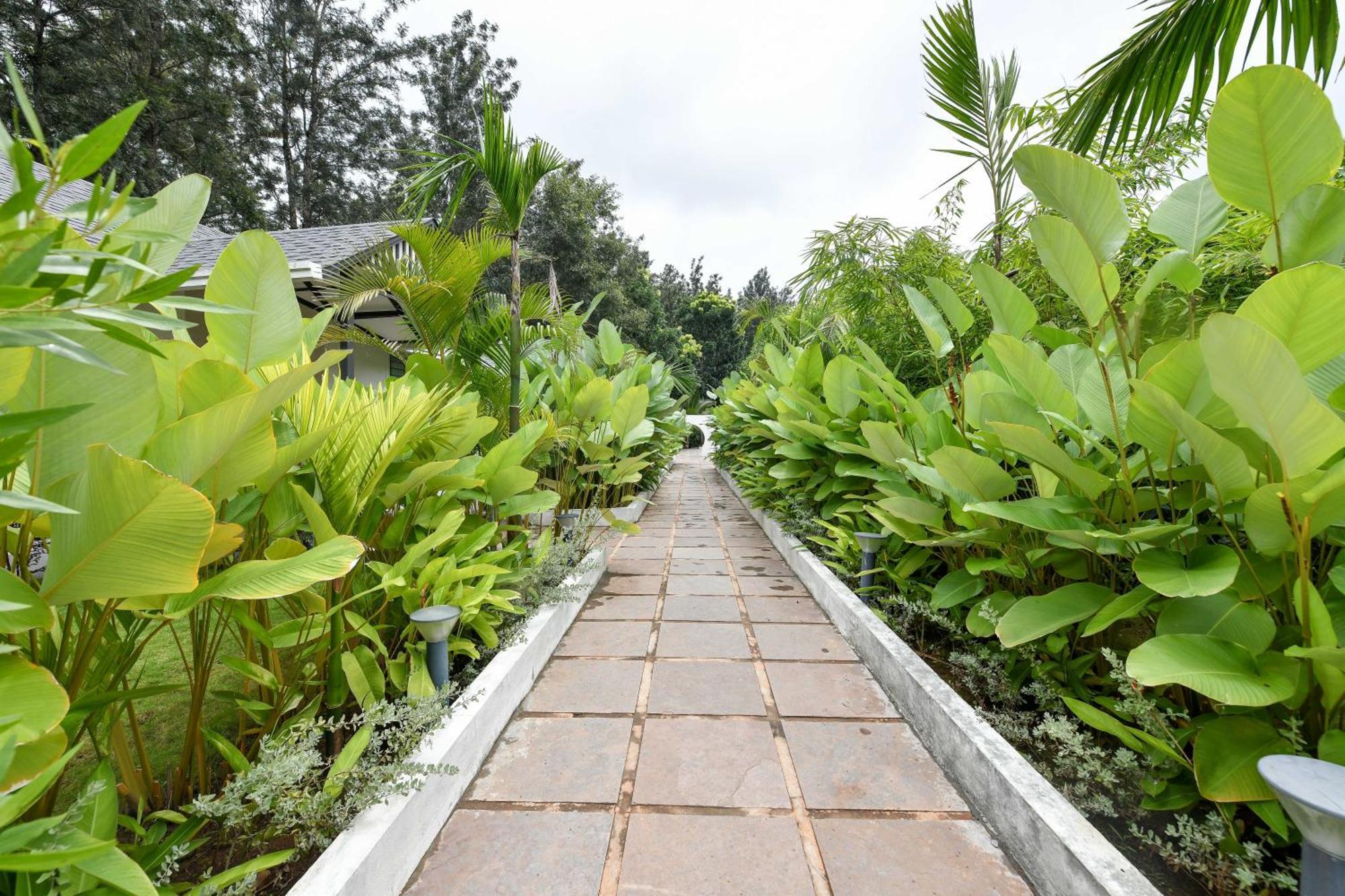 Inventree Aranya Resort & Spa Мадикери Екстериор снимка